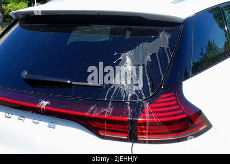 Vogelkot im Auto, Berlin Stockfoto