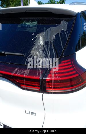 Vogelkot im Auto, Berlin Stockfoto