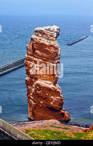 Insel Helgoland mit der Langen Anna, Felsnadel, Nordsee, Schleswig-Holstein, Deutschland, Deutsche Bucht, Stockfoto