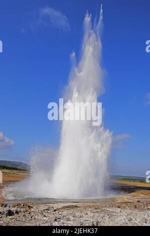 Der Geysir Strokkur feuert Dampf und kochendes Wasser bis auf eine Höhe von etwa 20m auf Storr Geysir, Haukadalur, Süd-Zentral-Island Stockfoto