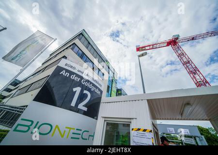 Mainz, Deutschland. 27.. Juni 2022. Vor dem Hauptsitz des Pharmaunternehmens steht ein Baukran. Das Mainzer Pharmaunternehmen BioNTech sagt, dass es einen wirksamen Impfstoff gegen die neuen Varianten (BA.4 und BA.5) des Coronavirus entwickelt hat. Nach ersten Studienergebnissen hat sich der Impfstoff gegen die hochansteckenden Varianten gut entwickelt. Quelle: Andreas Arnold/dpa/Alamy Live News Stockfoto