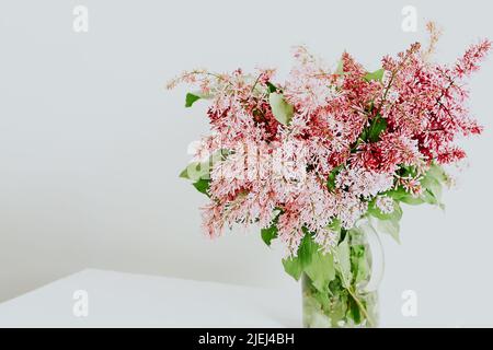 Strauß Flieder in einer Vase auf Weiß. Frühling Stockfoto
