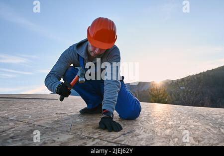 Zimmermann, der am Abend Nagel in die OSB-Platte auf dem Dach der zukünftigen Hütte eingeschlagen hat. Mann Arbeiter Gebäude Holzrahmen Haus. Zimmerei- und Konstruktionskonzept. Stockfoto