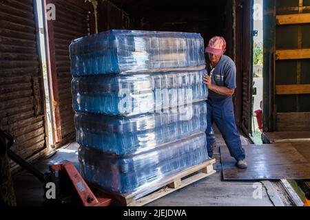 REGION ZAKARPATTIA, UKRAINE - 24. JUNI 2022 - Ein Mann schiebt eine Palette von abgefülltem Wasser aus dem Memory and Roots Zakarpattya Fund in eine Fracht Stockfoto