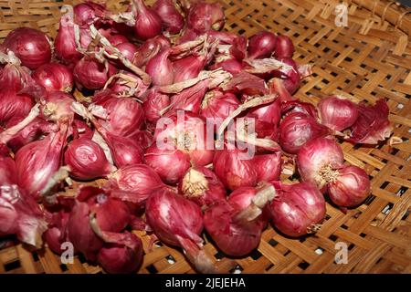 Rote und biologisch angebaute Schalotte Stockfoto