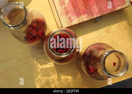 Flasche fermentierter Rote Beete. Gesundes Rezept, während Sie einen Permakultur-Kurs Stockfoto