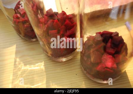 Flasche fermentierter Rote Beete. Gesundes Rezept, während Sie einen Permakultur-Kurs Stockfoto