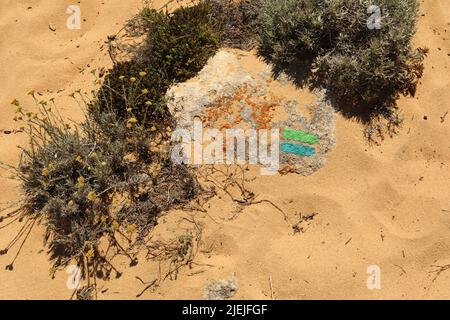 Farbschild auf Holz am Sandstrand gemalt Stockfoto