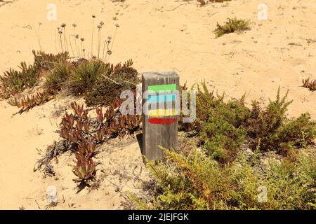 Buntes Schild auf Holz am Sandstrand mit Busch um Stockfoto