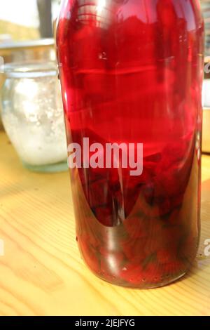 Flasche fermentierter Rote Beete. Gesundes Rezept, während Sie einen Permakultur-Kurs Stockfoto