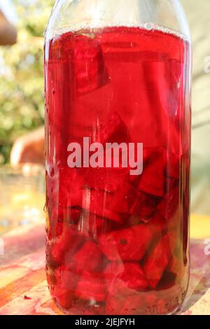 Flasche fermentierter Rote Beete. Gesundes Rezept, während Sie einen Permakultur-Kurs Stockfoto