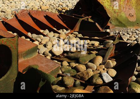 Schiffswrack am steinigen Strand in Portugal Stockfoto