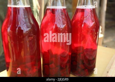 Flasche fermentierter Rote Beete. Gesundes Rezept, während Sie einen Permakultur-Kurs Stockfoto