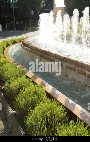 Das Wasser spuckt mit Vegetation mitten in der Stadt Stockfoto