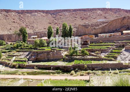 Terrassenfelder im Dorf Caspana, Chile. Caspana ist ein chilenisches Dorf, 85 km von Calama entfernt, in der Schlucht, die durch den Fluss geformt wurde Stockfoto