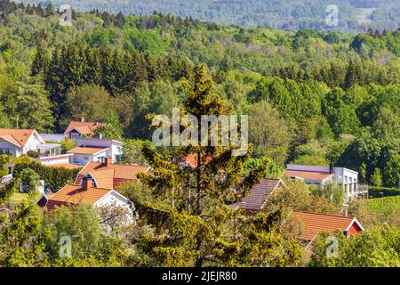 Wohngebiet am Wald in sonniger Landschaft Stockfoto