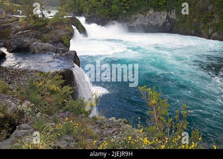 Die Wasserfälle von Petrohue im Nationalpark Vincente Perez Rosales, Chile Stockfoto