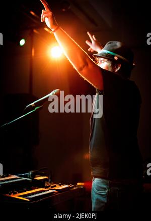 Funke and the Two Tone Baby, Leigh Folk Festival, Leigh Community Center, Essex © Clarissa Debenham / Alamy Stockfoto