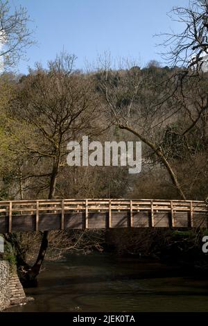 Fußgängerbrücke über den Fluss Maulwurf bei Trittsteinen Box Hügel nördlich hinunter surrey england Stockfoto