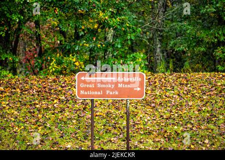 Blue Ridge Mountains National Park im Herbst mit gelb grünen Laubblättern und Schild auf dem parkway für die Wegbeschreibung nach Asheville und Great Smok Stockfoto