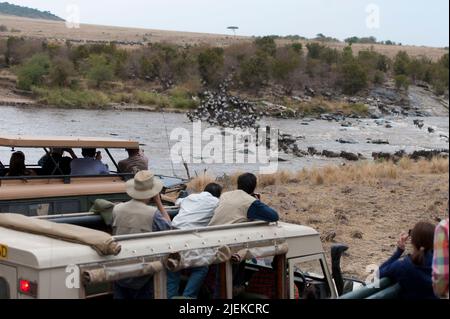 Touristen beobachten die jährliche Wanderung der Großen Wildnis durch den Mara River in Kenia im Juli 2013. Stockfoto