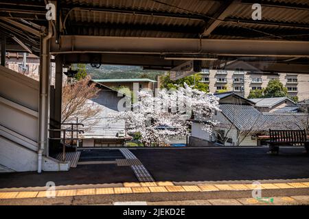 Gero Onsen, Japan Dorfhäuser Blick vom Bahnhofsplatz in der Präfektur Gifu mit Blick auf Häuser Dachziegel n Frühling Frühling und Kirsche blo Stockfoto