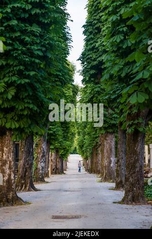 Baumallee auf dem Mirogoj Friedhof, einem grünen und friedlichen Hauptstadtfriedhof, Zagreb, Kroatien Stockfoto