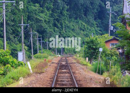 Elektrische Masten säumen Bahngleise neben üppig grünen Hügeln Stockfoto