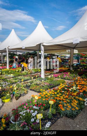 Floraart - eine jährliche Blumenschau im Bundek in Novi Zagreb, Zagreb, Kroatien Stockfoto