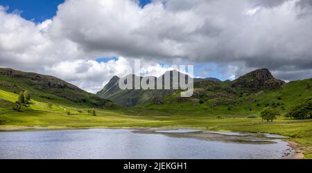 Blick über Blea Tarn auf die Langdale Pikes im Lake District National Park, Cumbria, Großbritannien Stockfoto