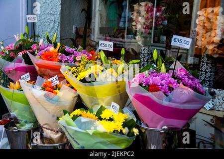 Blumen in Kilkenny, Irland. Stockfoto