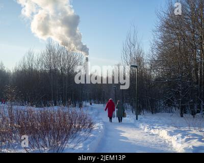 Landschaft des Winterparks. Fichtenhain. Schnee-Idylle. Kesselraum Rohr und Strom vor dem Hintergrund des Himmels. Ökologische Probleme Stockfoto