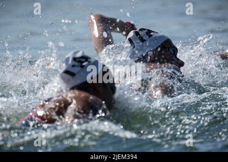 Budapest, Ungarn. 27.. Juni 2022. PALTRINIERI Gregorio ITA Open Water Swimming FINA 19. World Championships Budapest 2022 Budapest, Lupa Lake 27/06/22 Foto Giorgio Perottino/Deepbluemedia/Insidefoto Kredit: Insidefoto srl/Alamy Live News Stockfoto