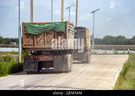 SAMUT PRAKAN, THAILAND, MAI 25 2022, die Rückseite eines LKWs, der auf einer Landstraße fährt Stockfoto