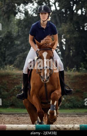 Close Portrait einer attraktiven Reiterin, die im Sommer auf braunem Pferd über ein Hindernis springt, während der Wettkämpfe im Langlauf. Stockfoto