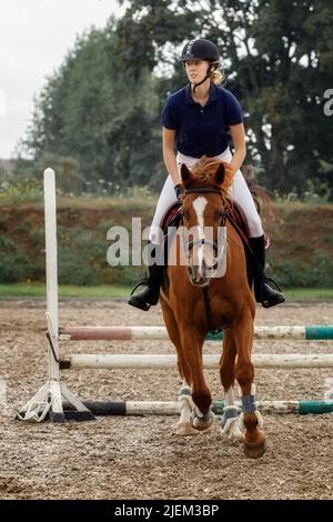 Braunes Pferd mit Jockey-Mädchen, das über eine Hürde springt. Stockfoto