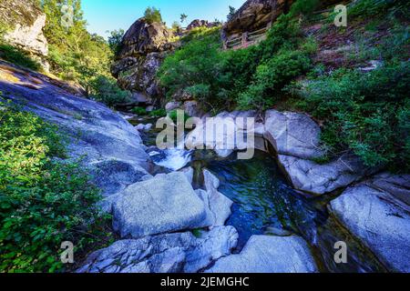 Kleiner Bach zwischen Felsen bei Sonnenaufgang an einem Sommertag. Navacerrada. Stockfoto