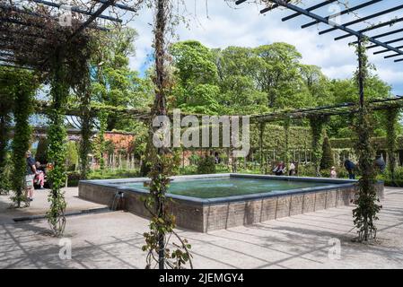 Alnwick Garden Northumberland, Blick im Frühling auf den Parterre-Garten und sein Herzstück - ein von Weinreben umschlossener Pool - in Alnwick Garden, Nothumberland, Großbritannien Stockfoto