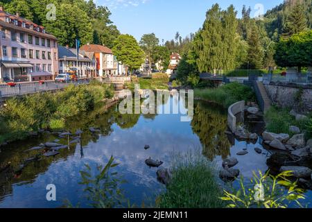 Am Fluss Alb in St. Blasien, Schwarzwald, Baden-Württemberg, Deutschland | Alb in St. Blasien, Schwarzwald, Baden-Württemberg, Deutschland Stockfoto
