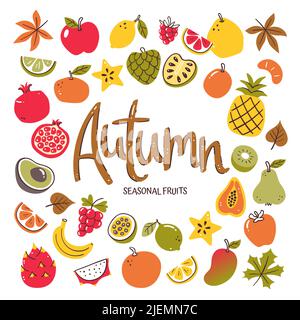 Saisonale Früchte Hintergrund. Herbstfrucht Komposition aus bunten handgezeichneten Vektor-Icons, isoliert auf weißem Hintergrund. Stock Vektor
