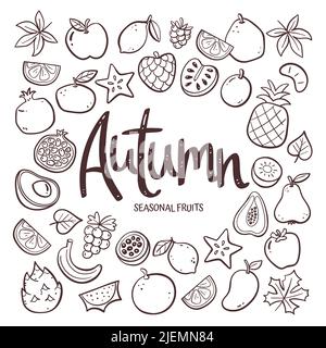 Saisonale Früchte Hintergrund. Handgezeichnete Herbstfrucht-Komposition aus Doodle-Vektor-Icons, isoliert auf weißem Hintergrund. Stock Vektor