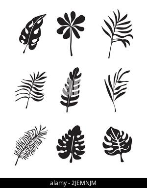 Floraler tropischer Palmenzweig im Silhouette-Stil. Farn, monstera Blätter zur Einladung, Plakat, Logo. Botanisches Grün schwarze Pflanze Set Vektor. Stock Vektor
