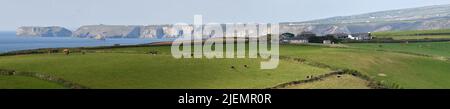 Panorama Port Gaverne Blick von Port Issac Cornwall England Stockfoto