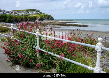 Die Strandpromenade und der Strand von Borth, Ceredigion, Wales Stockfoto