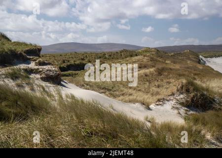 Sanfte Sandhügel, weitläufige Sandstrände, Sumpfgräser und die Machair neben dem Clachan Sands Beach in North Uist, Outer Hebrides, Schottland Stockfoto