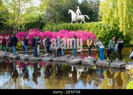 Keukenhof, Gartenanlage, Freizeitpark, Frühlingspark, Frühlingsblumenschau, In der Nähe von Lisse, Südholland, Niederlande, Tulpen, Narzissen und Hyazinthe Stockfoto