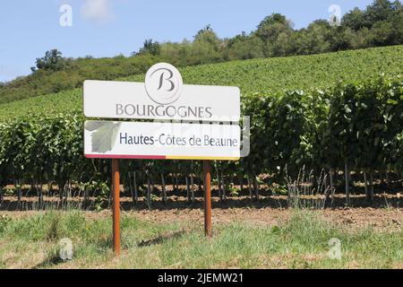 La Rochepot, Frankreich - 5. Juli 2020: Straßenschild Hautes-Cotes de Beaune, Wein aus Burgund, Frankreich Stockfoto