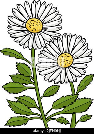 Leucanthemum Daisy Flower Cartoon Clipart Stock Vektor