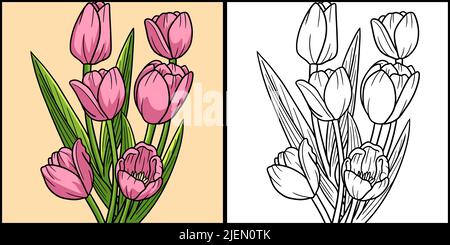 Tulpe Flower Coloring Seite Farbige Illustration Stock Vektor