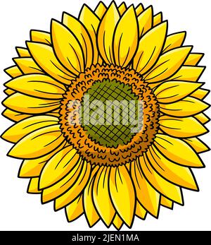 Sonnenblume Cartoon Farbige Cliparte Stock Vektor
